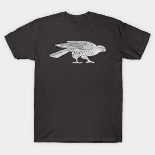 Hawk T-Shirt